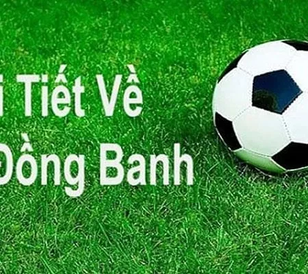 Kèo Chấp 0 Là Gì? Bí Kíp Bắt Kèo Chấp 0 Hiệu Quả
