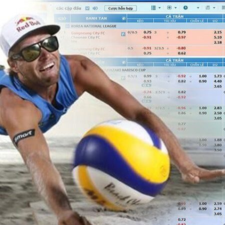Kèo bóng chuyền sôi động với tỷ lệ cao tại Fb88.